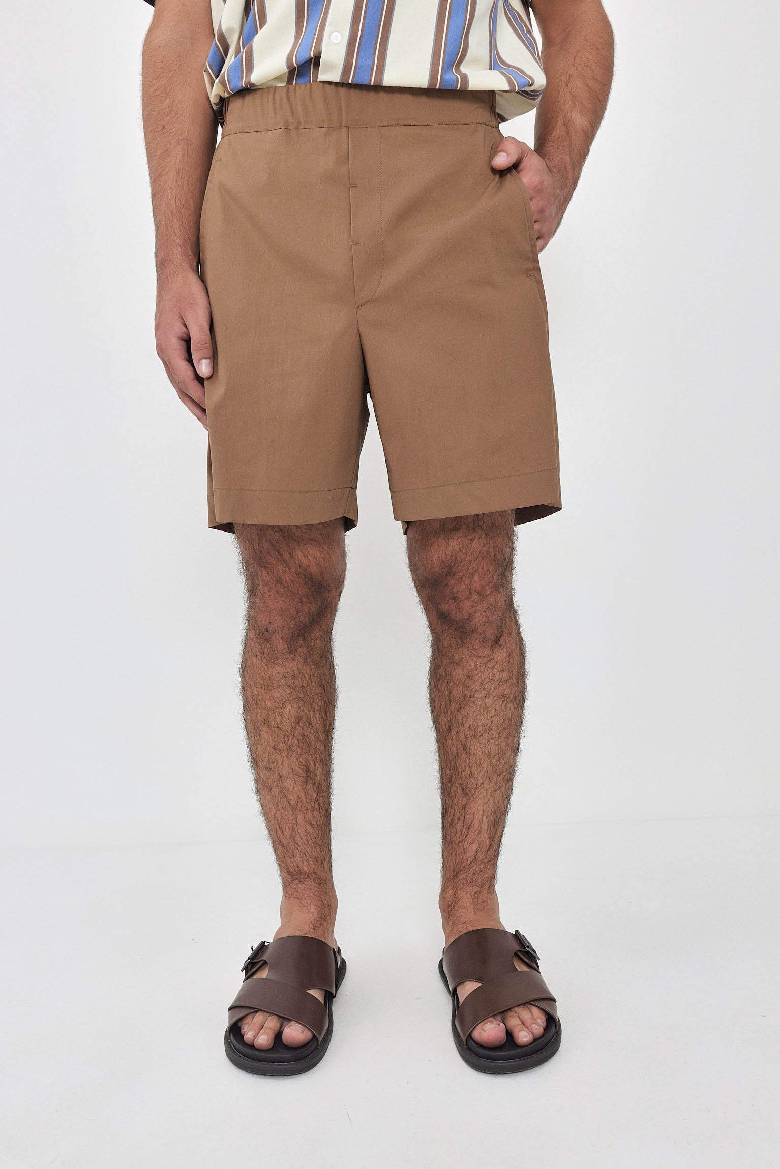 JOSH Shorts S24 (34-48) - Camel